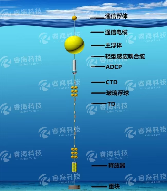 微信圖片_20250225170735